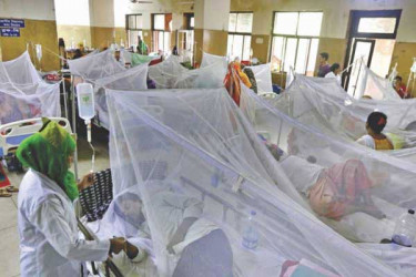 দেশে ডেঙ্গুতে আক্রান্ত হয়ে হাসপাতালে ভর্তি ২৬৫